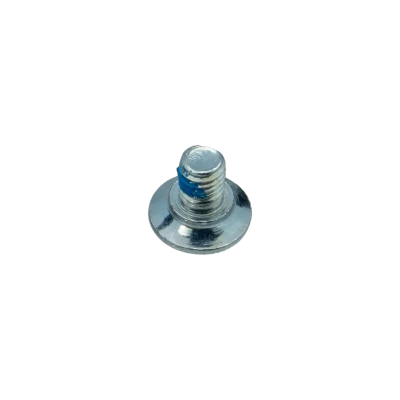 Saapa kaitse kinnituspolt hõbe